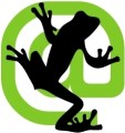Словарь по Screaming Frog SEO Spider: термины и обозначения 