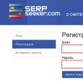Как узнать, на какой позиции сайт, с помощью сервиса Serpseeker